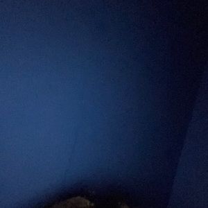 Meet your Posher, Raphael